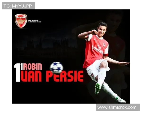 足球明星范佩西图片