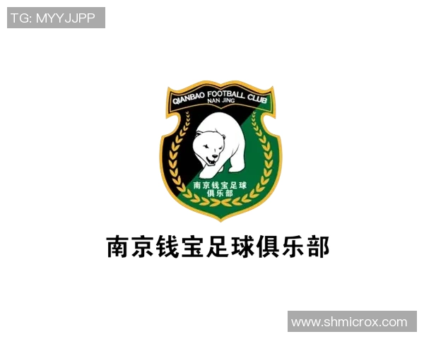 专业解读:南京足球队的运营打法